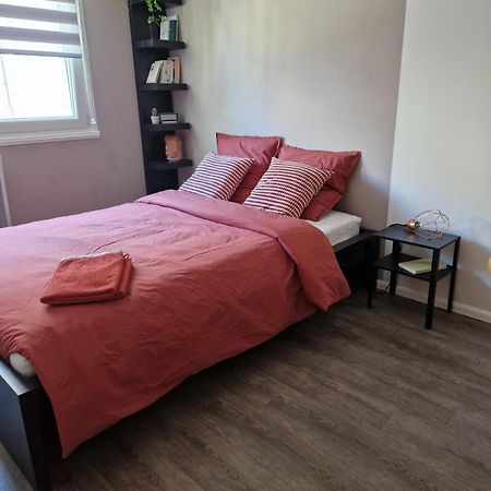 Robertsau Tres Bel Appartement Страсбург Экстерьер фото